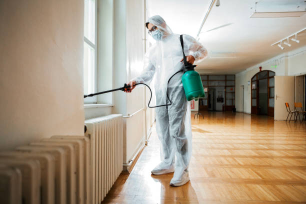 Flea Control Services in Logansport, LA