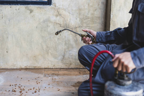 Best Exterminator Services  in Logansport, LA